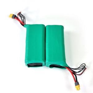 Акумулятор 6s2p Molicel INR 21700-P42A 4200 mAh 45A Li-ion